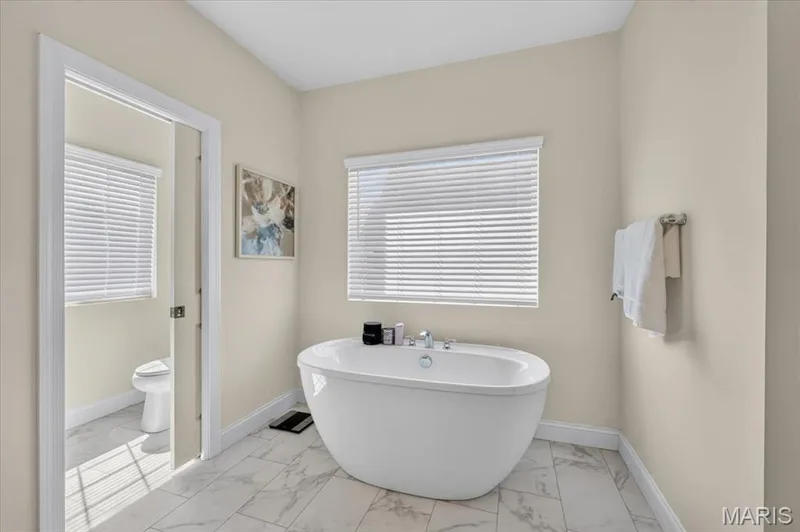 823 Silver Buck Lane, Chesterfield, MO 63005 — listing photo 25 of 53