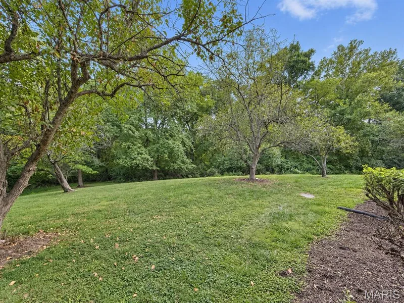 947 Quail Meadows Court #E, Chesterfield, MO 63017 — listing photo 52 of 62