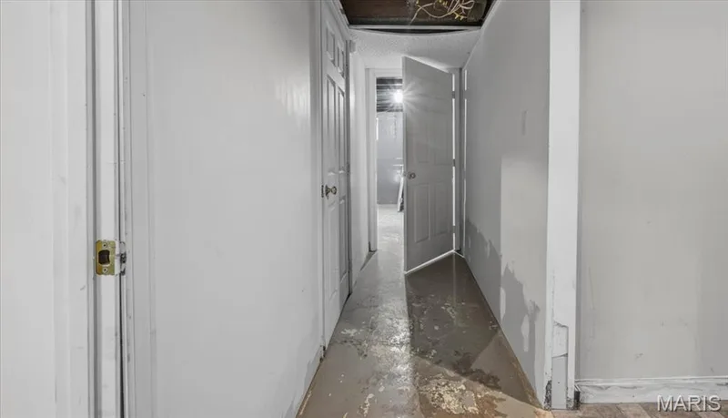 Basement — 6 Saint Violet Drive, St Peters, MO 63376
