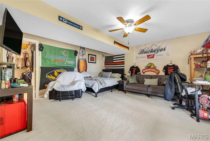 314 Pleasant Meadows Drive, Wentzville, MO 63385 — listing photo 47 of 54
