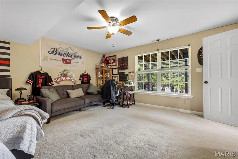 314 Pleasant Meadows Drive, Wentzville, MO 63385 — listing photo 49 of 54