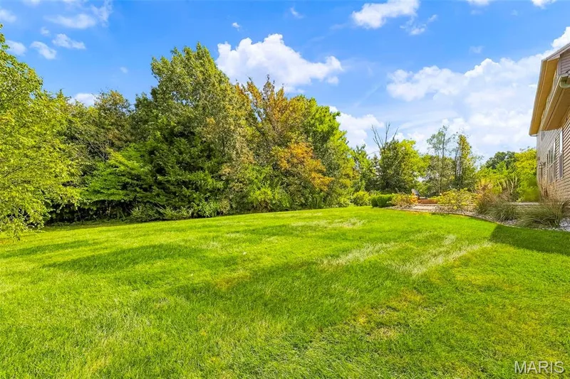 5 Wyndemere Court, Lake St. Louis, MO 63367 — listing photo 67 of 93