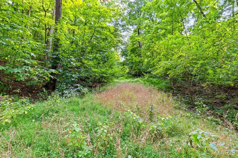 56 River Bend Court, Chesterfield, MO 63017 — listing photo 26 of 29
