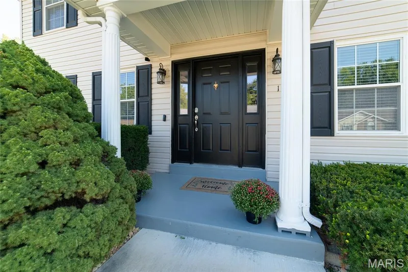 1156 Carrington Drive, St Peters, MO 63376 — listing photo 2 of 49