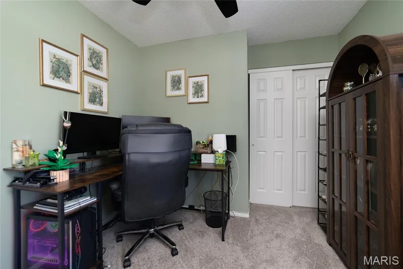 1156 Carrington Drive, St Peters, MO 63376 — listing photo 28 of 49