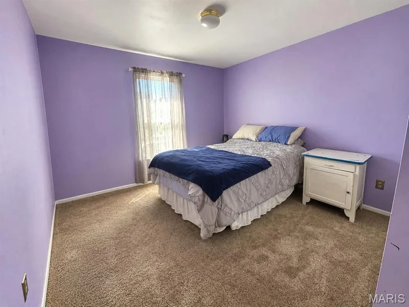 45 Autumn Crest Court, Wentzville, MO 63385 — listing photo 14 of 16