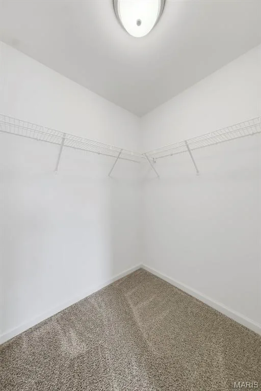 9019 Wilkie Station Street, St Charles, MO 63301 — listing photo 53 of 67