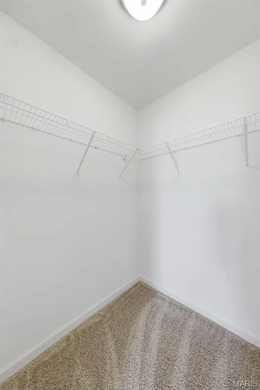 9019 Wilkie Station Street, St Charles, MO 63301 — listing photo 56 of 67