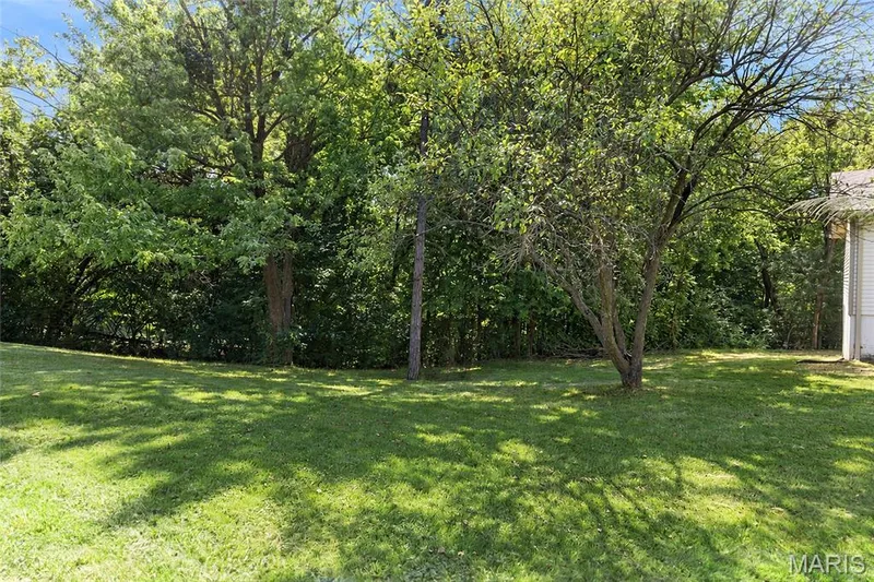 1 Bluff View Court, St Charles, MO 63303 — listing photo 11 of 13