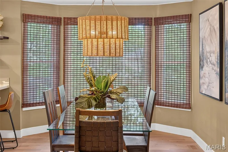 32 Country Lane Court, St Charles, MO 63304 — listing photo 57 of 86