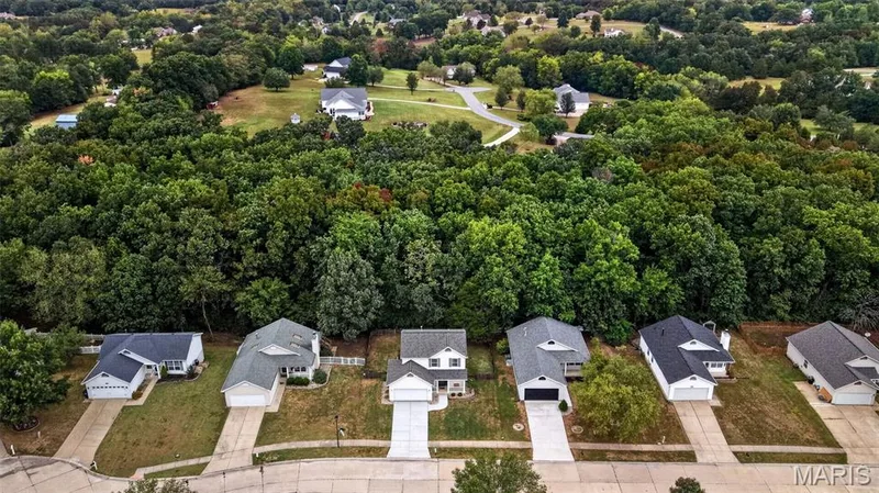 Check out all of those trees! — 1033 Providence Pointe Drive, Wentzville, MO 63385