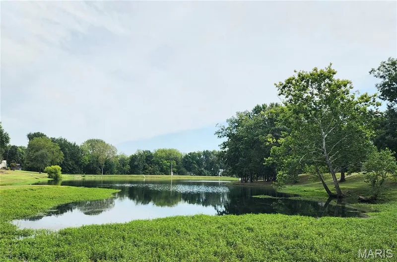 27 Oak Valley Drive, St Peters, MO 63376 — listing photo 8 of 11