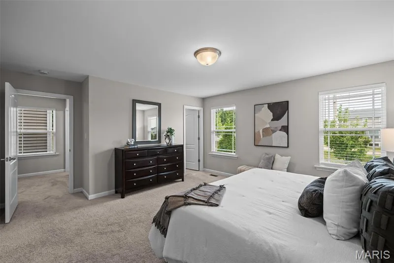 17 Rydal Place, St Charles, MO 63303 — listing photo 26 of 54