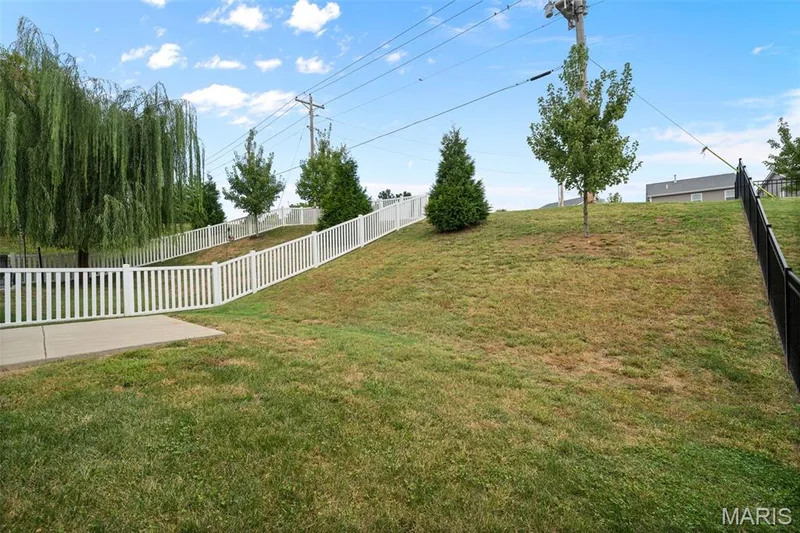 17 Rydal Place, St Charles, MO 63303 — listing photo 43 of 54