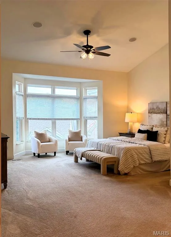 213 Woodland Place Court, St Charles, MO 63303 — listing photo 12 of 28