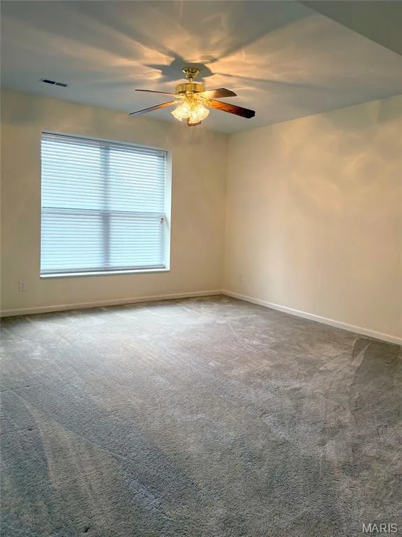 Basement bedroom with huge closet and egress window — 213 Woodland Place Court, St Charles, MO 63303