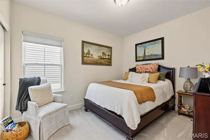 247 Cambium Court, St Charles, MO 63385 — listing photo 20 of 25
