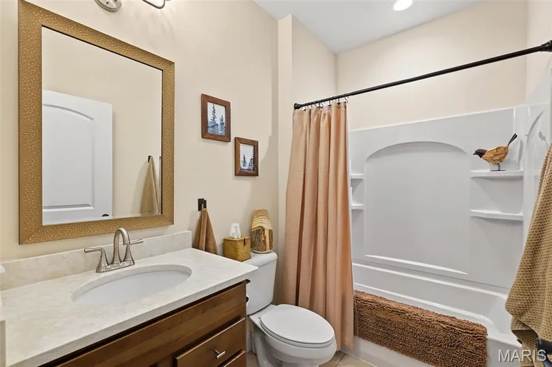 247 Cambium Court, St Charles, MO 63385 — listing photo 23 of 25