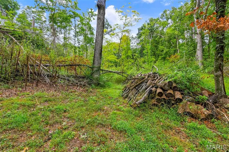 18651 Saint Albans Road, Wildwood, MO 63038 — listing photo 14 of 41