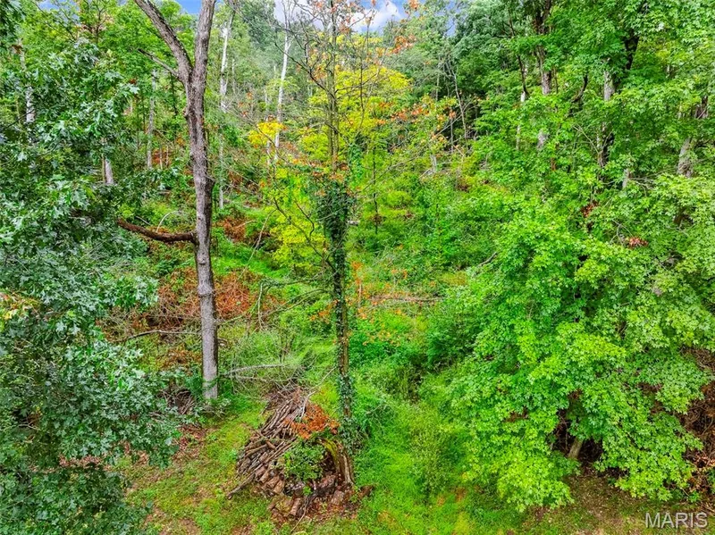 18651 Saint Albans Road, Wildwood, MO 63038 — listing photo 40 of 41