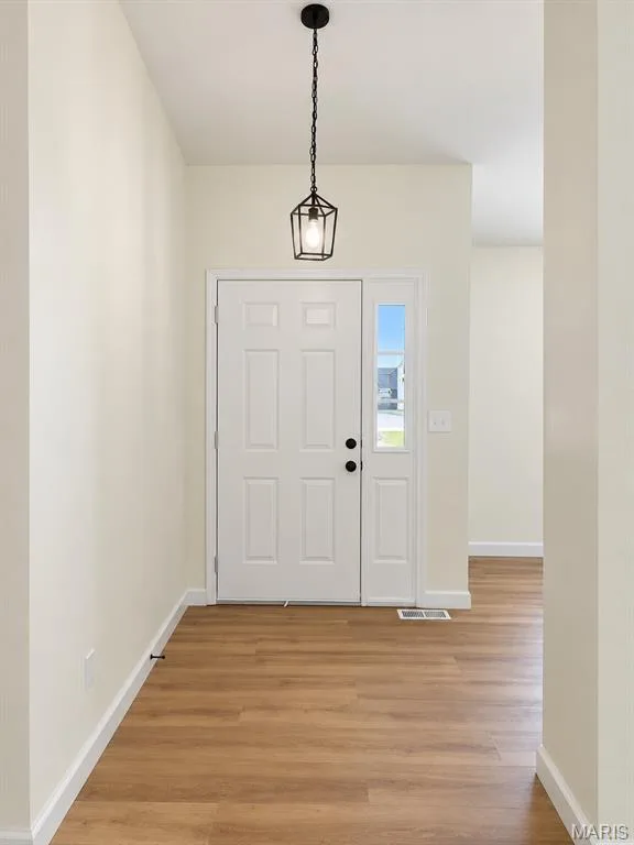 Entryway featuring wood-finish flooring, a white panel door, and a black geometric pendant light — 1731 Fairview Farms Circle, Wentzville, MO 63385