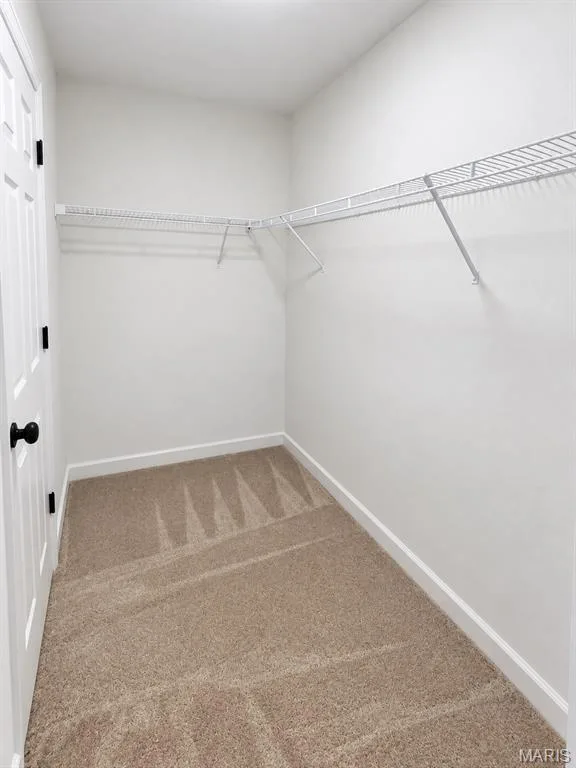 Walk-in closet with carpet flooring — 1731 Fairview Farms Circle, Wentzville, MO 63385