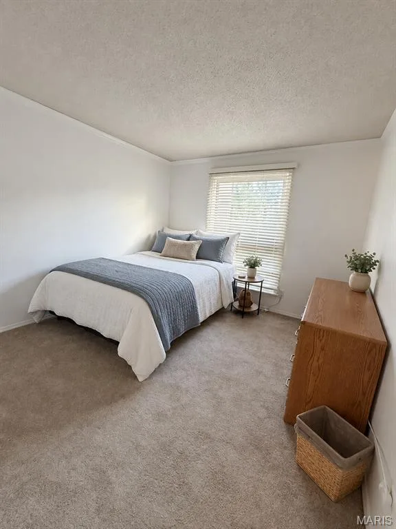 Plush carpet flooring, crown molding, and a window with blinds — 15631 Hedgeford Court #9, Chesterfield, MO 63017