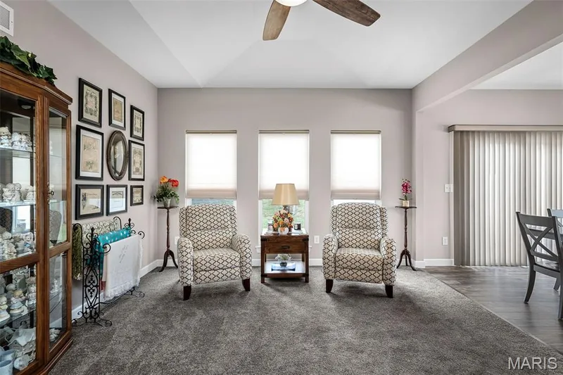 102 Savannah Terrace, Wentzville, MO 63385 — listing photo 5 of 29