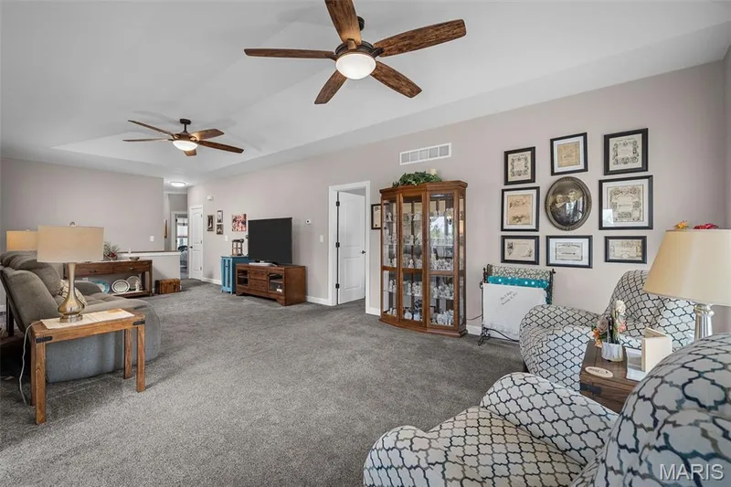102 Savannah Terrace, Wentzville, MO 63385 — listing photo 26 of 29