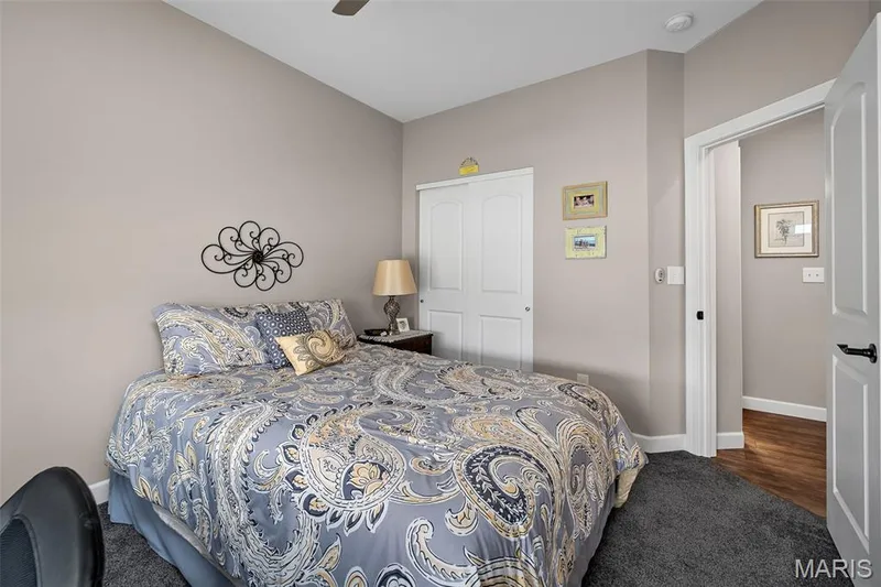 102 Savannah Terrace, Wentzville, MO 63385 — listing photo 18 of 29