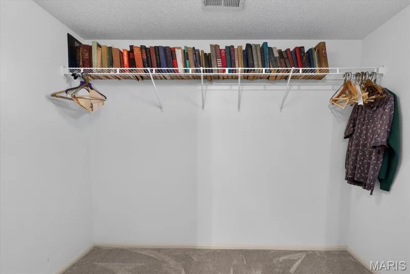 Huge walk in closet in LL bonus room — 2169 Farnsworth Drive #1424A, O'Fallon, MO 63368