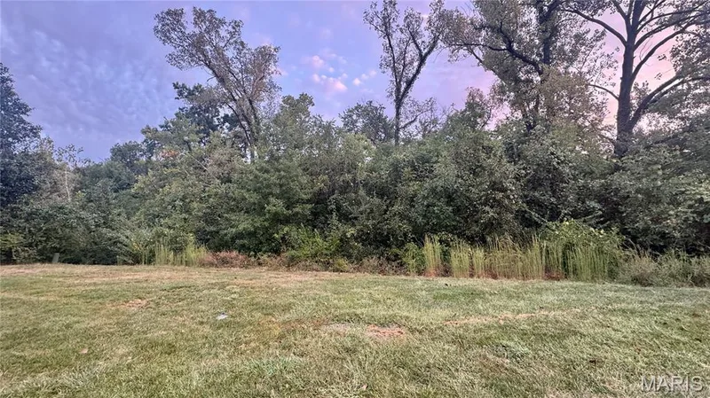 722 Wayland Drive, O'Fallon, MO 63366 — listing photo 13 of 34