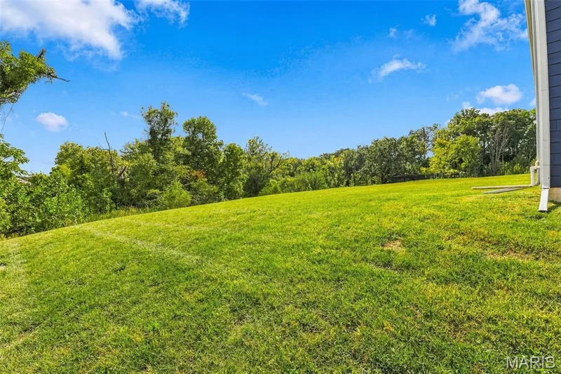 210 Westleigh Court, O'Fallon, MO 63385 — listing photo 40 of 40