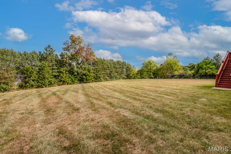 485 Cambridge Manor Drive, Wentzville, MO 63385 — listing photo 58 of 62
