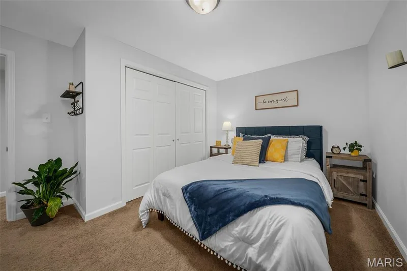 156 Old Williamsburg Parkway, Wentzville, MO 63385 — listing photo 44 of 56