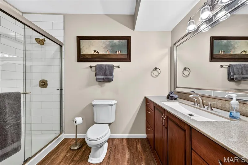 3116 Brook Hollow Drive, O'Fallon, MO 63366 — listing photo 29 of 36