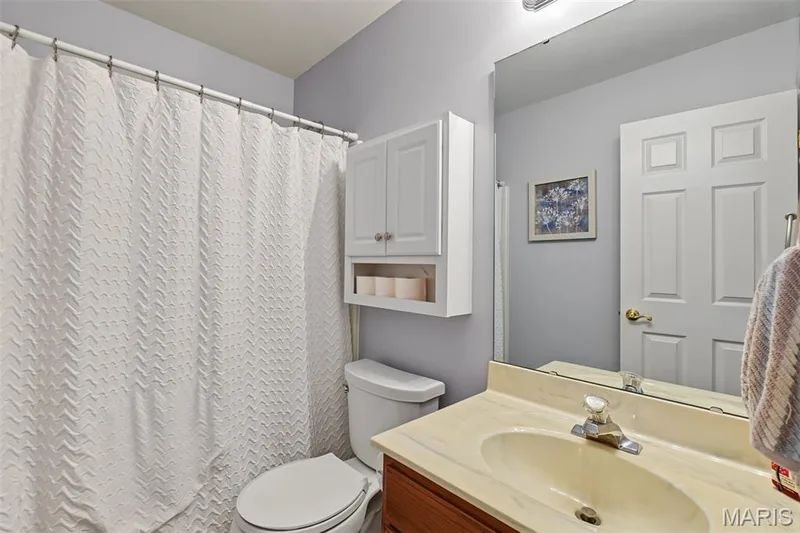 Vanity with integrated sink, wall-mounted mirror, and white paneled door — 8 Soenker Circle, St Peters, MO 63376