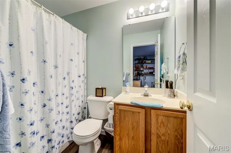 Bathroom featuring wood-finish flooring, a vanity with wood cabinetry and an integrated sink, a wall-mounted mirror, and overhead lighting — 820 Brookmead Drive, O'Fallon, MO 63366