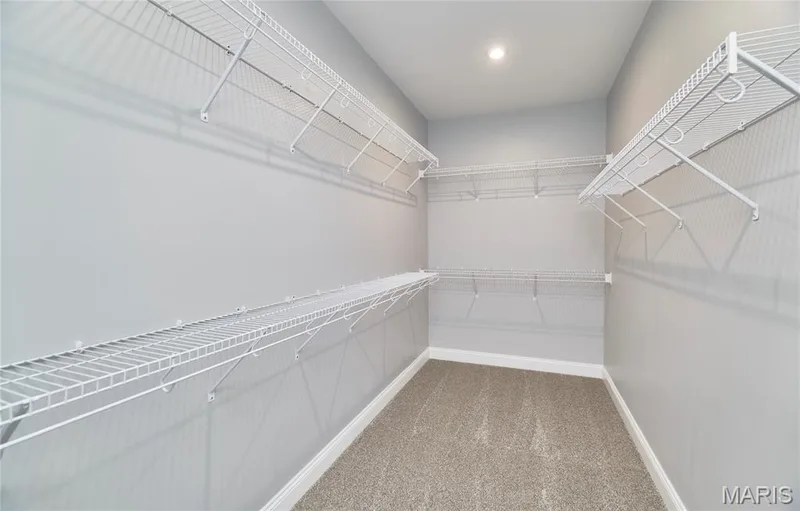 248 Cambium Court, O'Fallon, MO 63385 — listing photo 25 of 37
