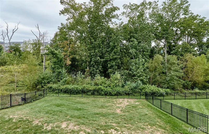 248 Cambium Court, O'Fallon, MO 63385 — listing photo 37 of 37
