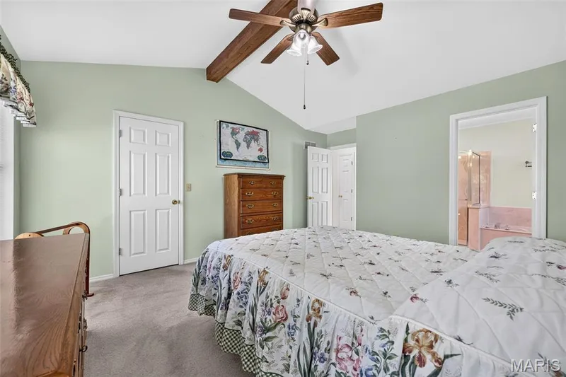 View of the Walk In Closet Door and Bathroom Doorway — 1436 Snowbird Lane, O'Fallon, MO 63366