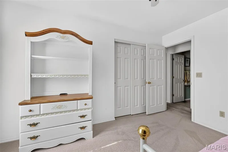 View of Entry Door and Closet Doors — 1436 Snowbird Lane, O'Fallon, MO 63366