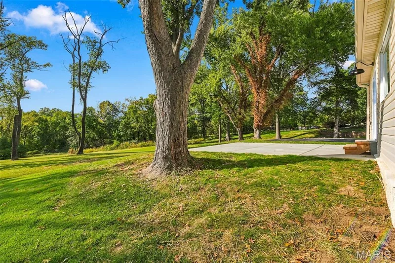 Expansive lawn .75 acre+ featuring mature trees and a concrete patio with wooden steps — 621 Claymont Estates Drive, Chesterfield, MO 63017