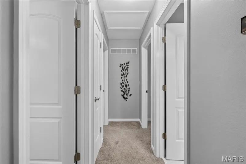 Two panel doors throughout. — 3037 Valley Vista Drive, St Peters, MO 63376