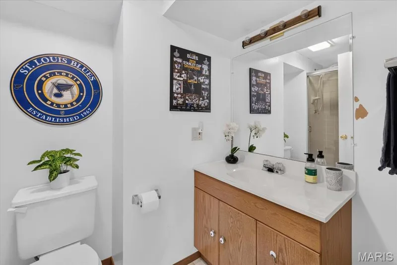 Lower level bath — 3037 Valley Vista Drive, St Peters, MO 63376