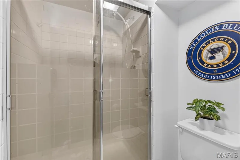 Lower level bath — 3037 Valley Vista Drive, St Peters, MO 63376