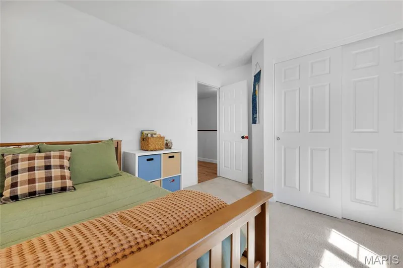 Neutral wall paint, light-toned carpeting, and a paneled bifold closet door — 5507 Dressel Drive, Cottleville, MO 63304