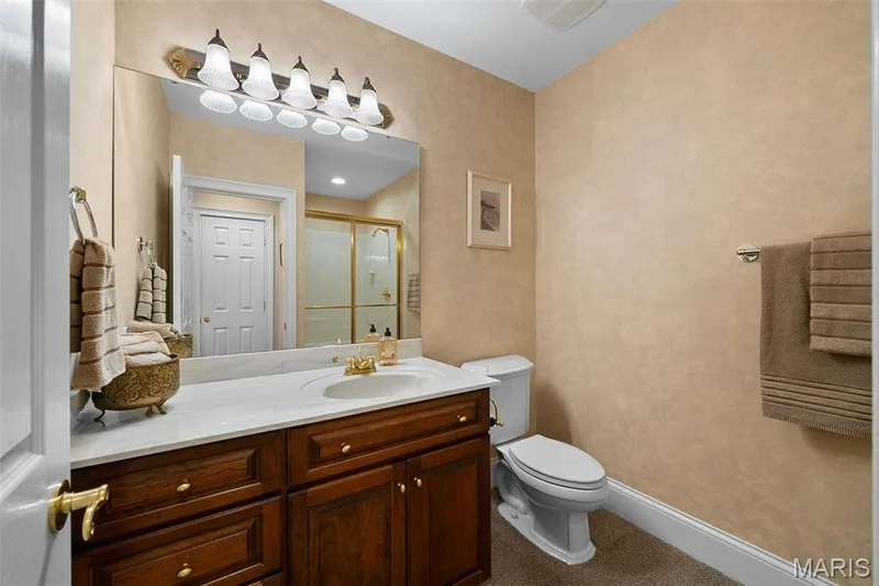 17712 Sugarberry Court, Chesterfield, MO 63005 — listing photo 67 of 98