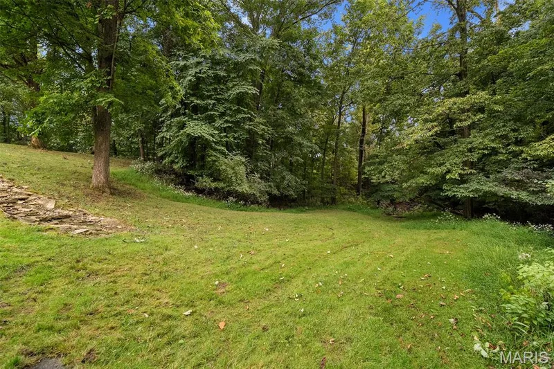17712 Sugarberry Court, Chesterfield, MO 63005 — listing photo 94 of 98