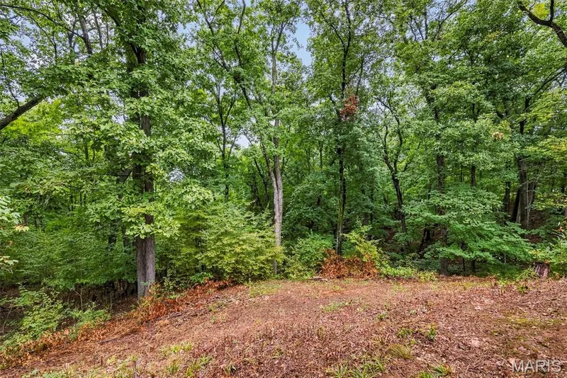 779 Schluersburg Road, Augusta, MO 63332 — listing photo 70 of 75